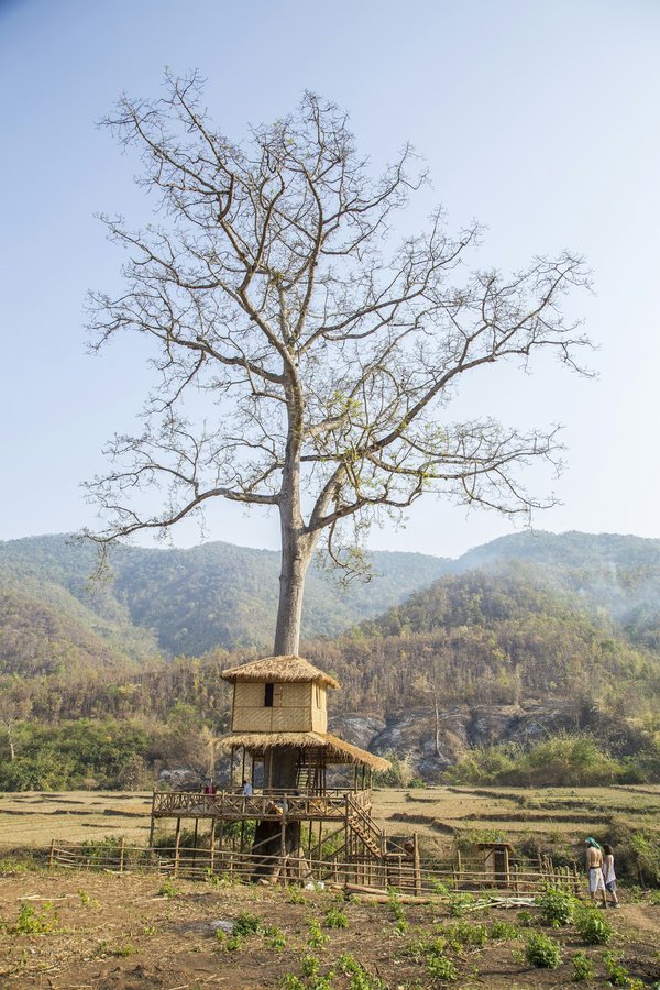How to Build a Children's Treehouse That Complies with Safety Regulations?