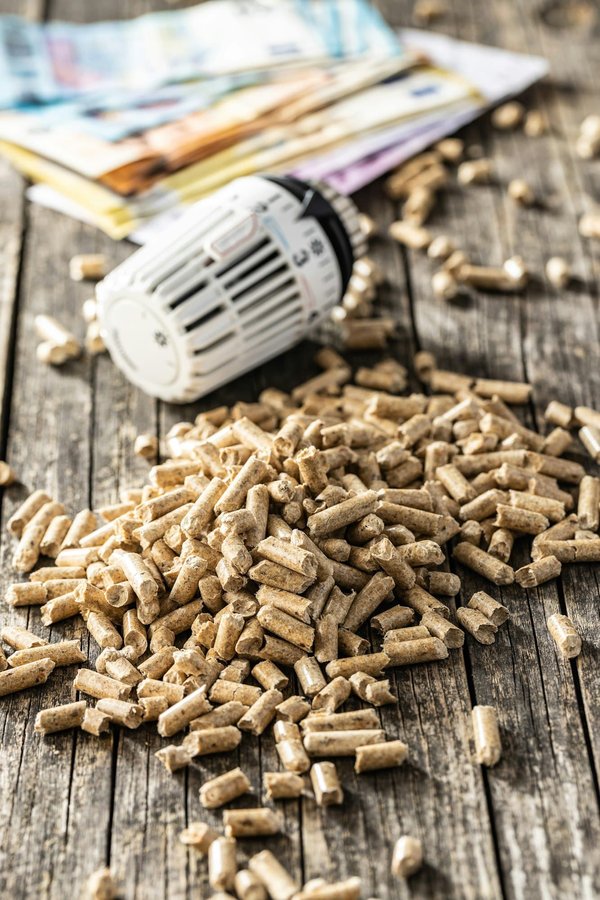 What Are the Best Ways to Incorporate Thermal Mass in Home Design for Natural Heating and Cooling?